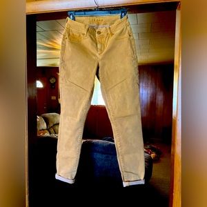 Maurices mustard yellow jeans, size- small